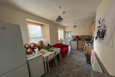 5 bed house, 35 Greenbank Avenue, St Judes, Plymouth, PL48PS - Image 10